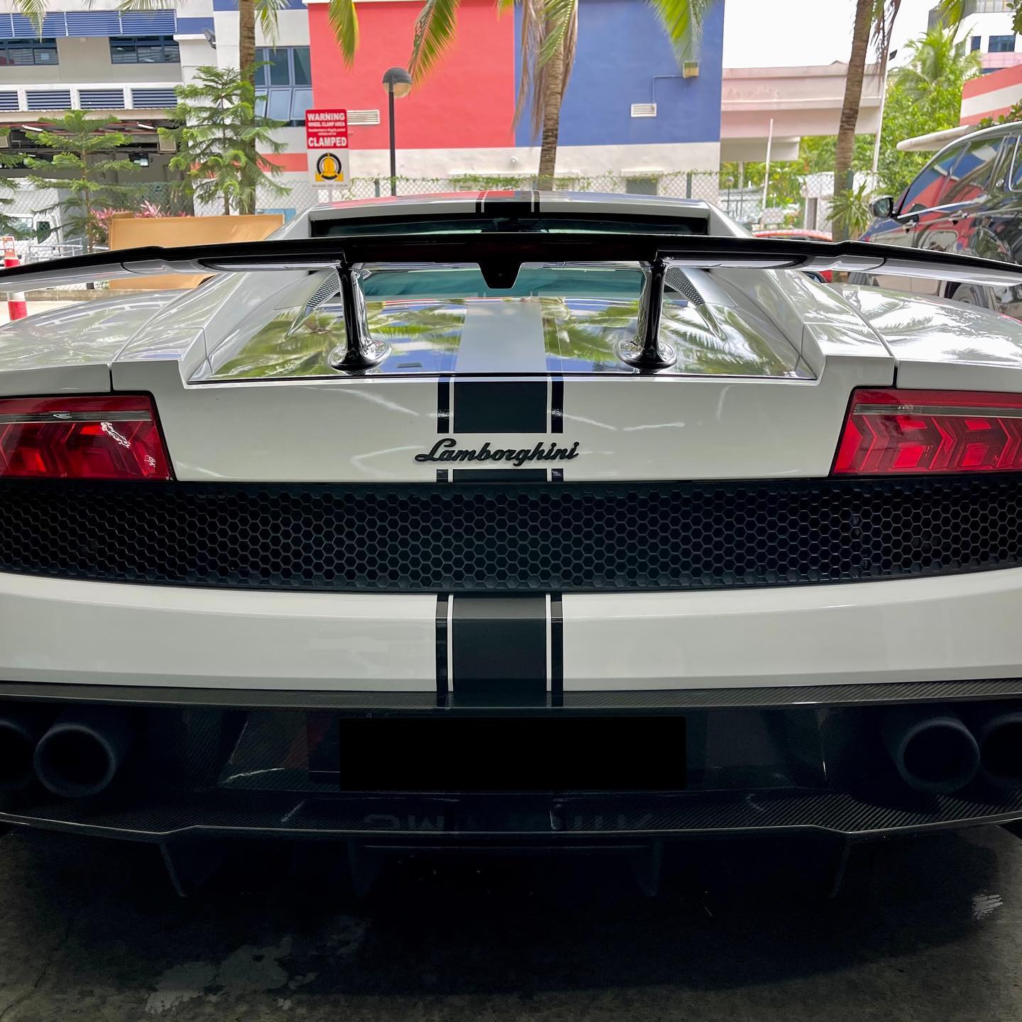 Instagram post image 8