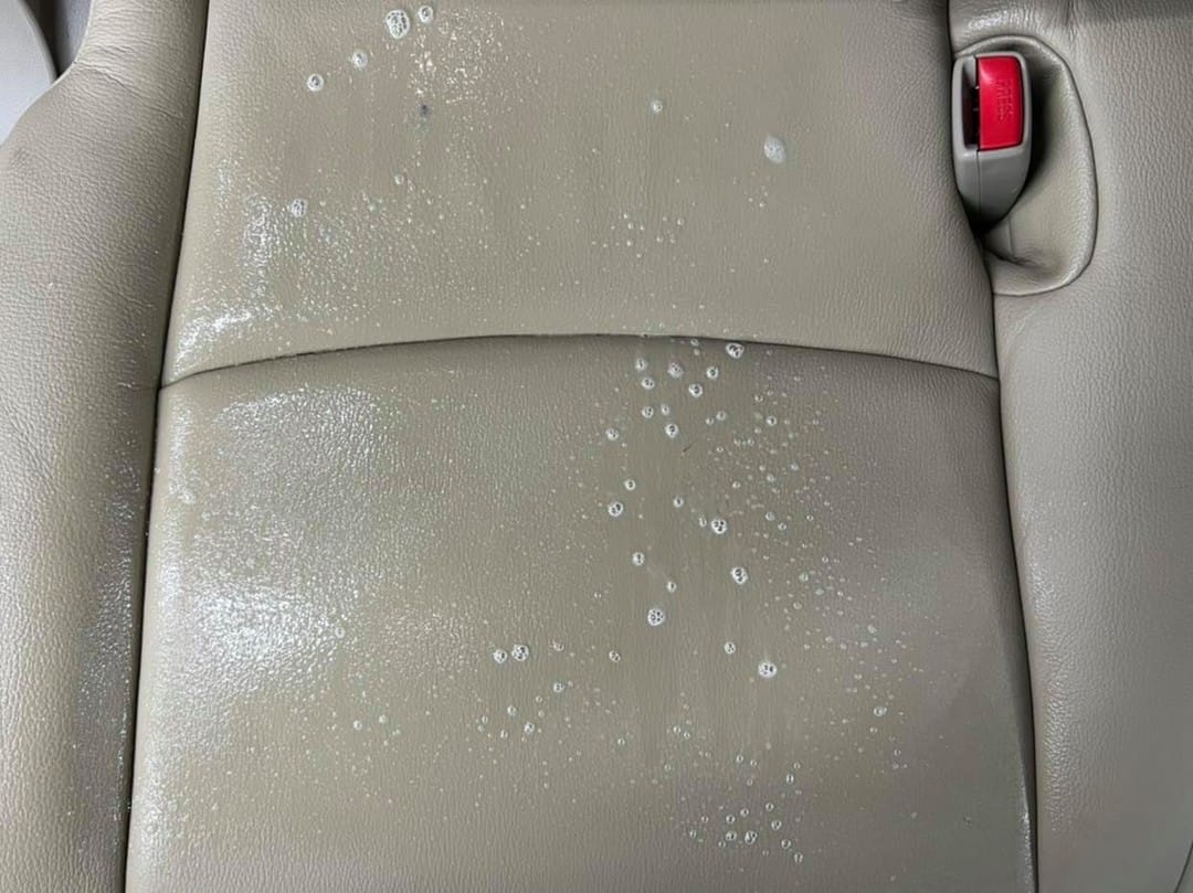 Instagram post image 5