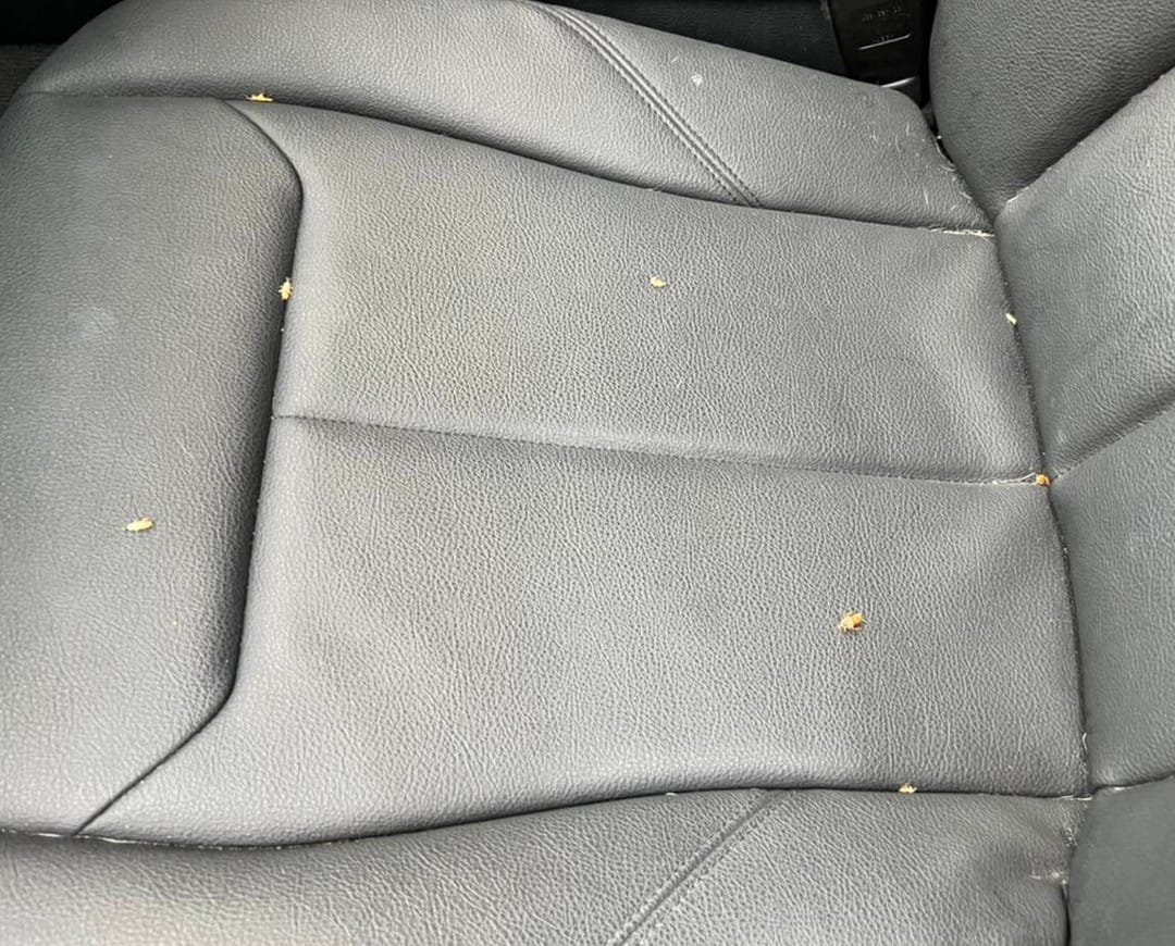 Instagram post image 2