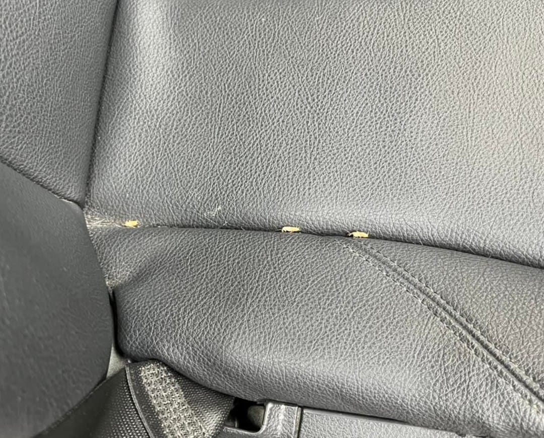 Instagram post image 3