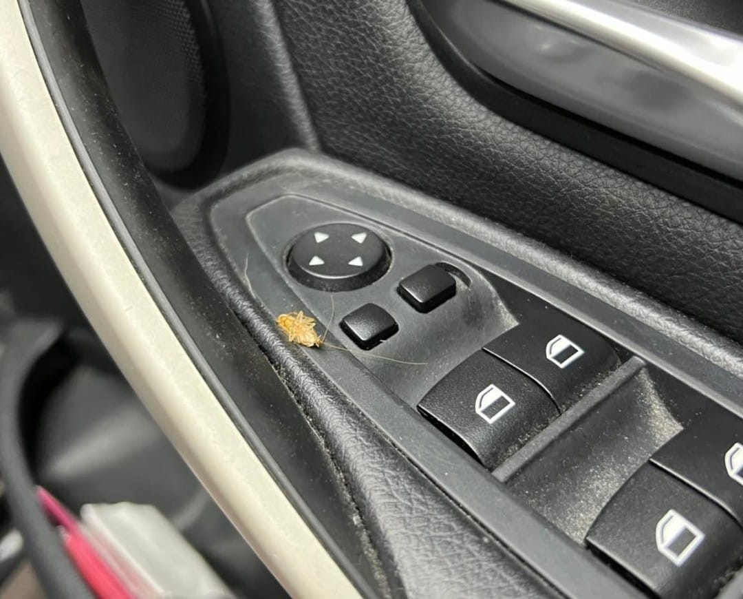 Instagram post image 4