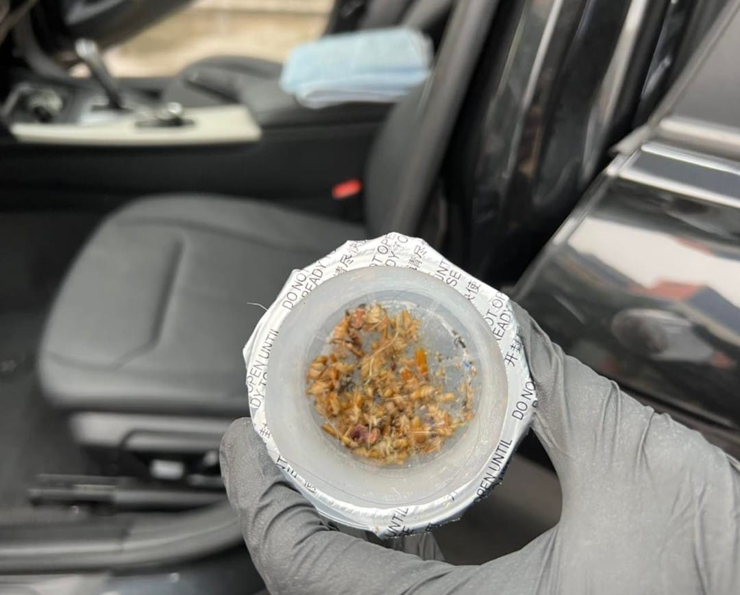 Instagram post image 5