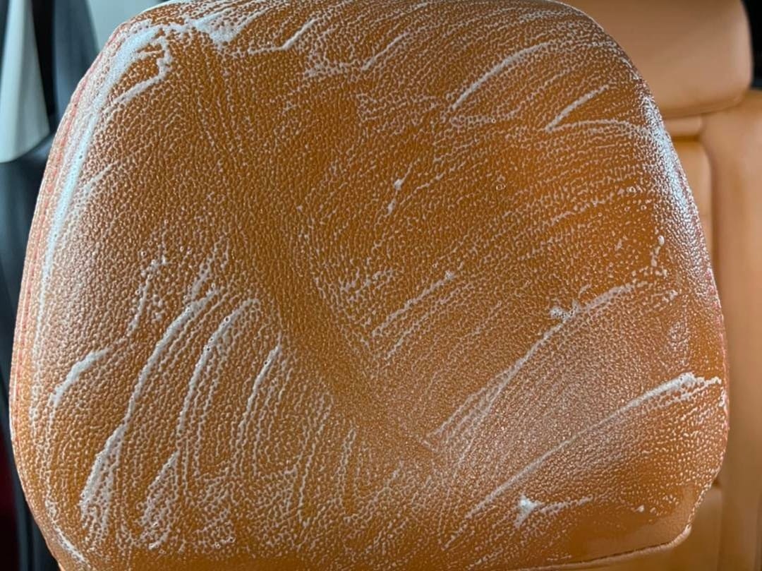 Instagram post image 5