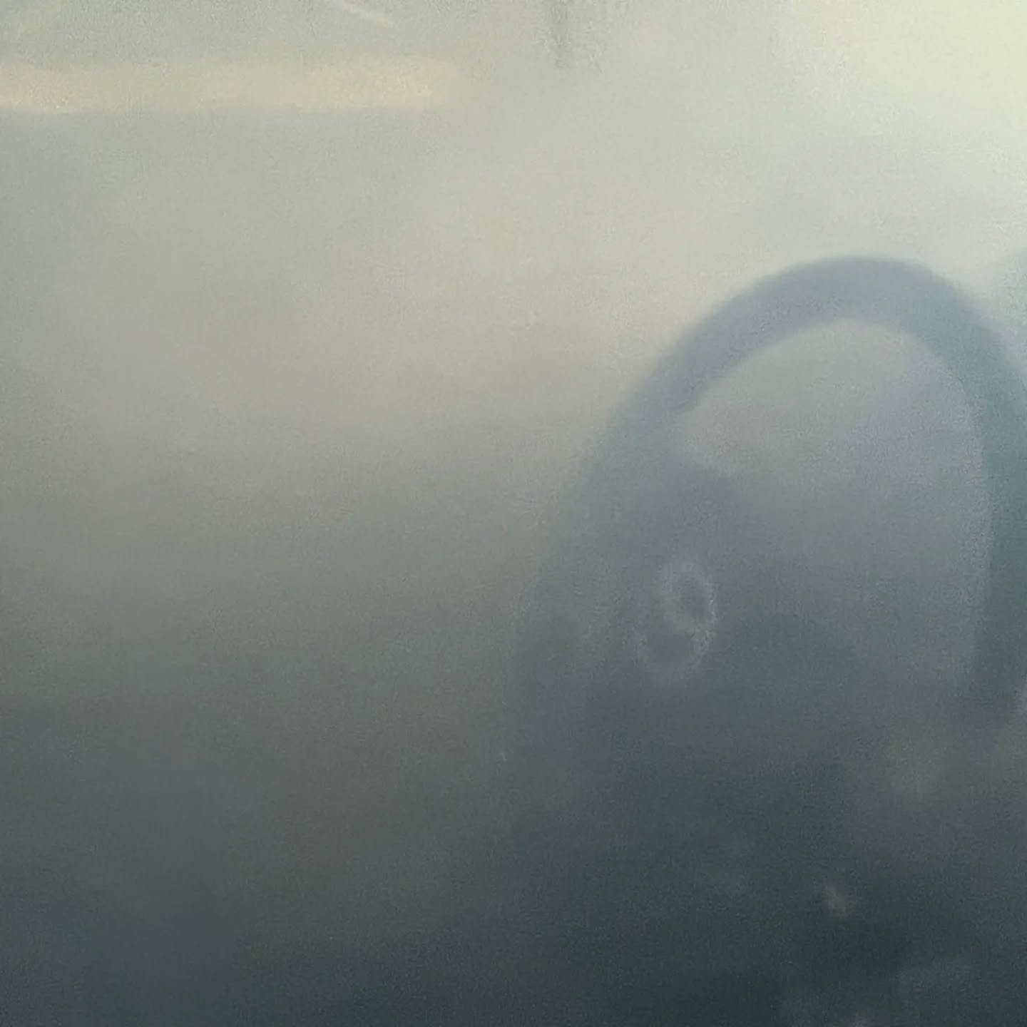 Instagram post image 7