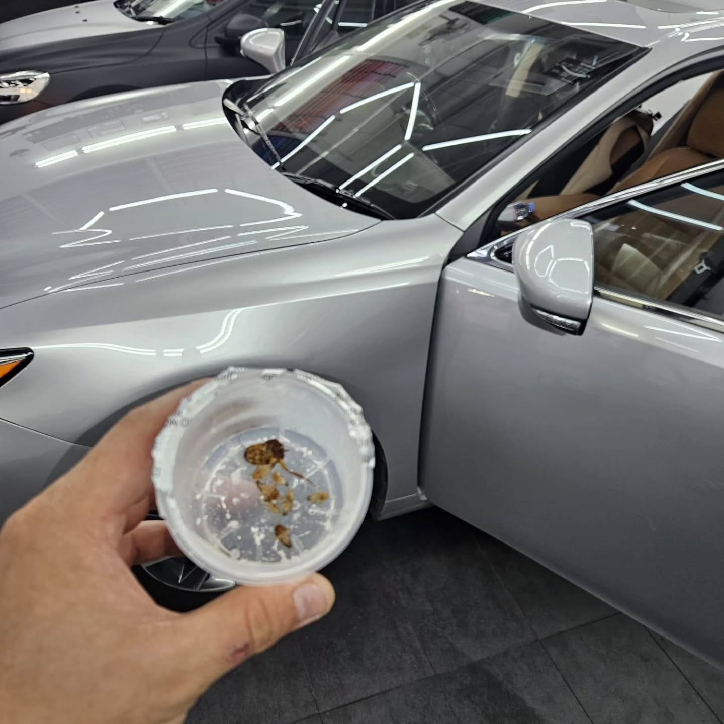 Instagram post image 2