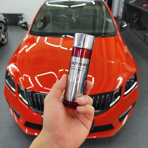 FIREBALL’s Butterfly 9H Ceramic Coating completed for Sko...